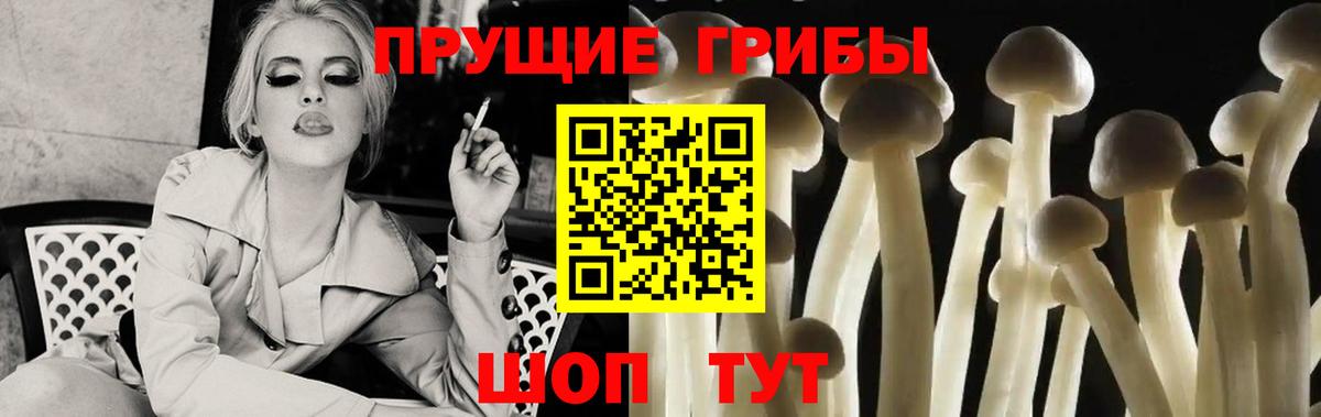 Галлюциногенные грибы Cubensis  Псилоцибиновые грибы прущие грибы  Сызрань  цена   Вход с VPN 